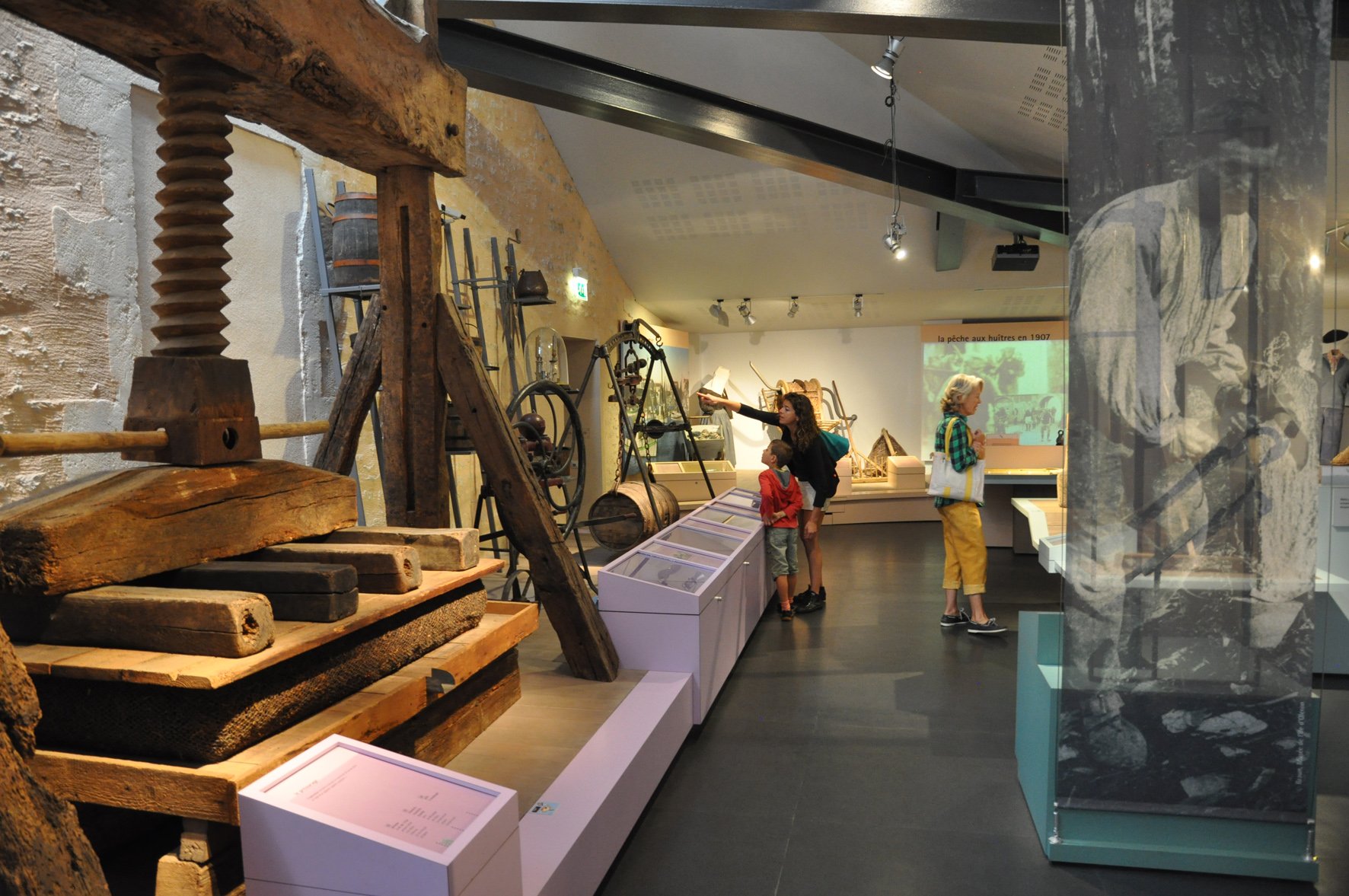 Viticulture - crédit Musée de l'île d'Oléron1