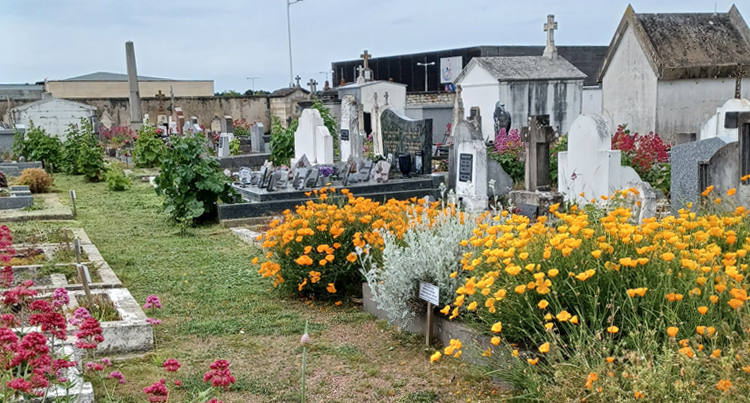 Actu cimetiere
