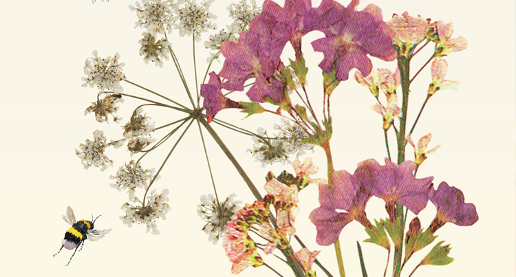 Actu fleur et vegetaux